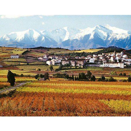 Entre Mer Et Montagne Montner Εξωτερικό φωτογραφία