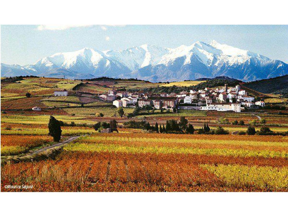 Entre Mer Et Montagne Montner Εξωτερικό φωτογραφία